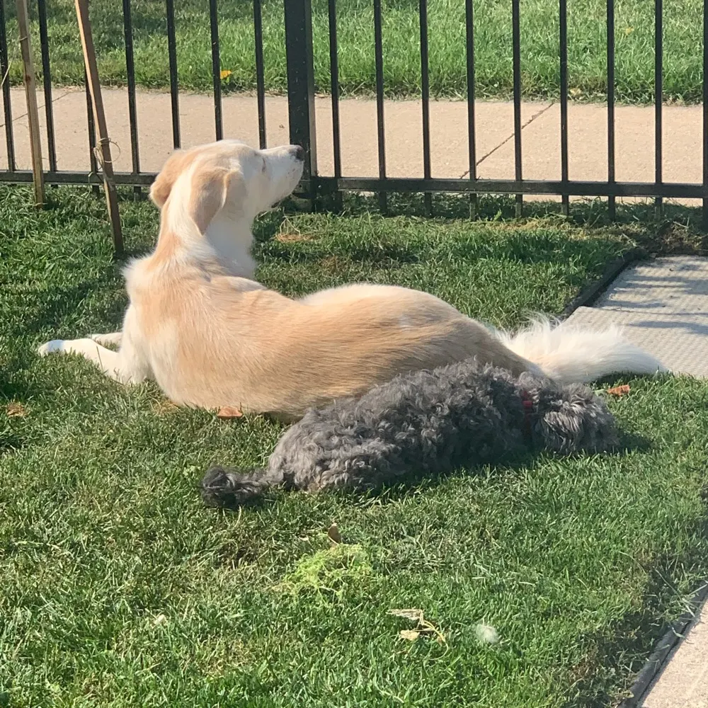 omakarin.bsky.social's profile picture