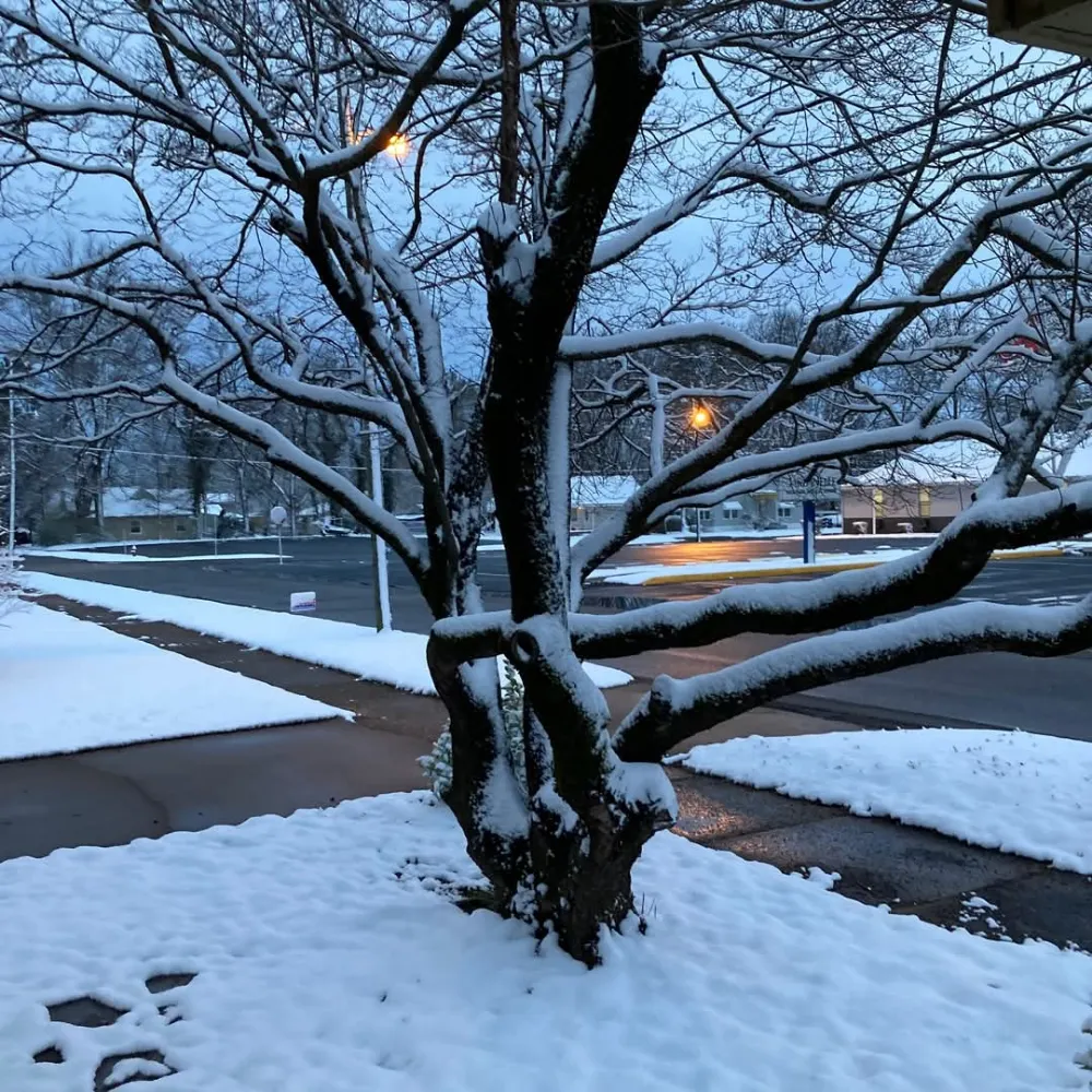 pscw.bsky.social's profile picture