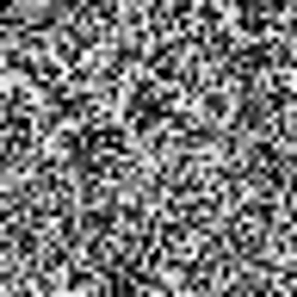 coreymutter.bsky.social's profile picture