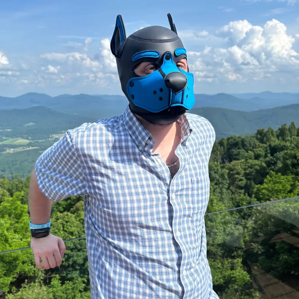 puppyike.bsky.social's profile picture