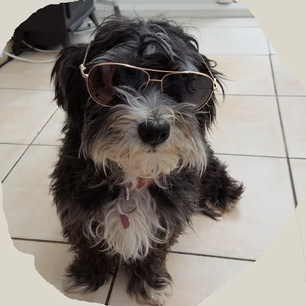 gezzer3115.bsky.social's profile picture