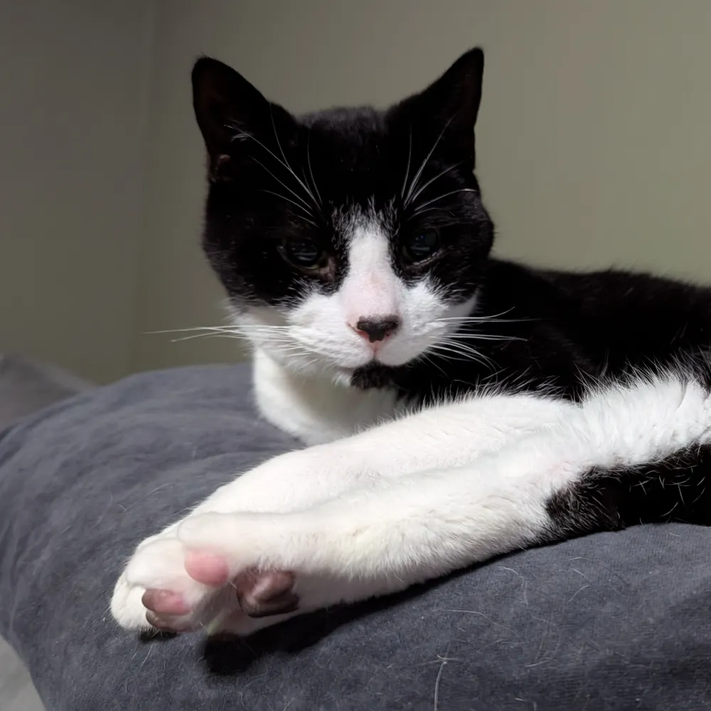 rhoduk.bsky.social's profile picture