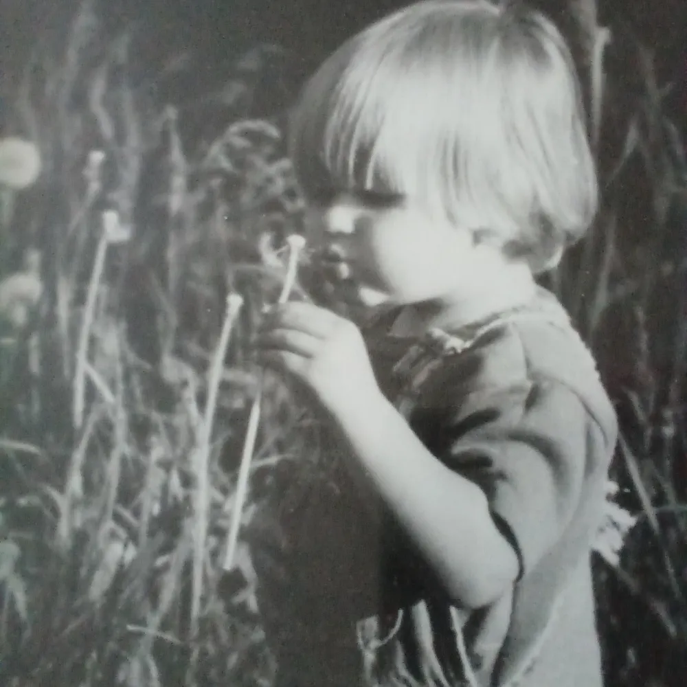 wilsinski.bsky.social's profile picture