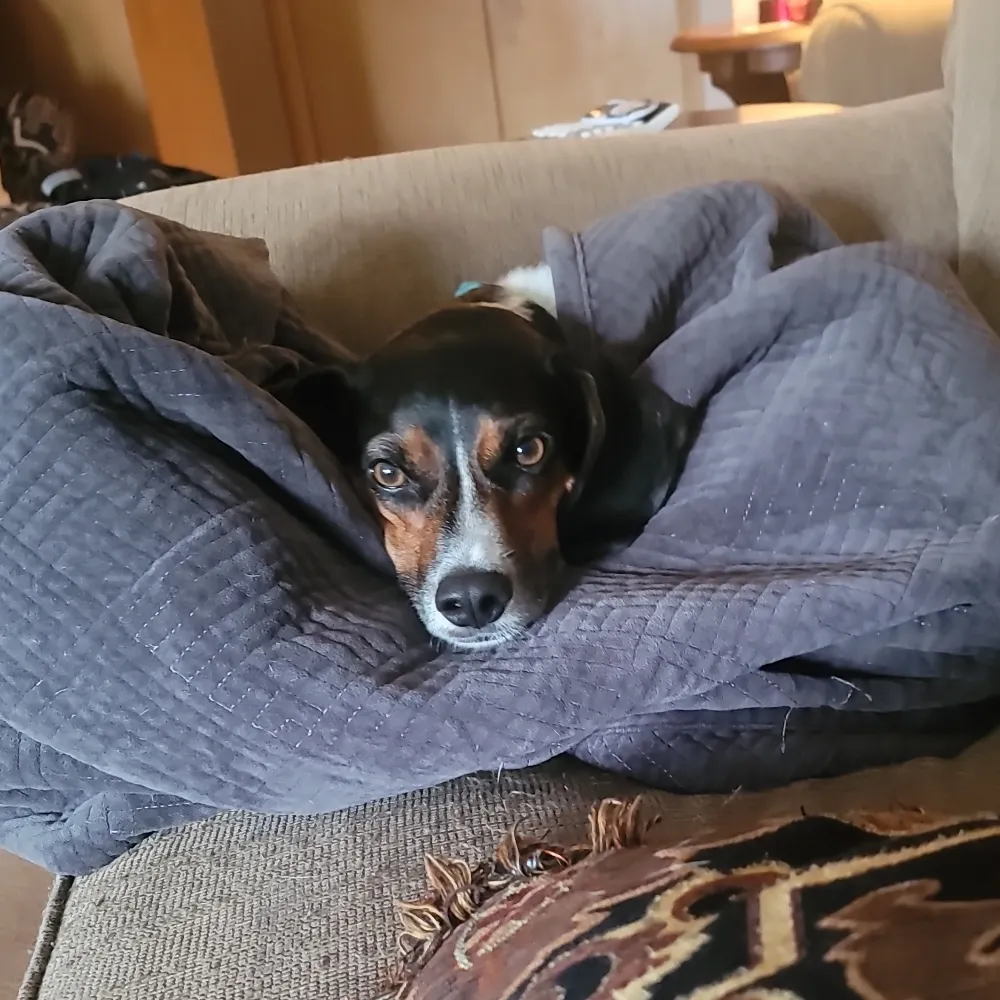 cin3-b.bsky.social's profile picture