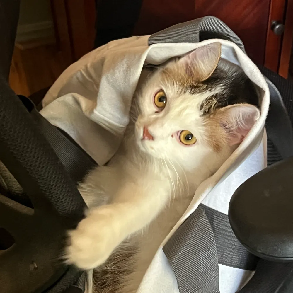 jflem2.bsky.social's profile picture