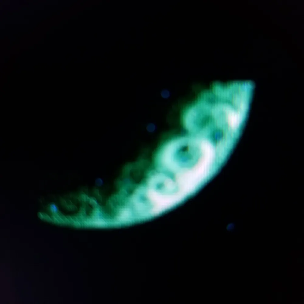 senseileroof.bsky.social's profile picture