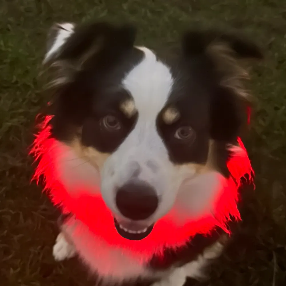 81horses.bsky.social's profile picture