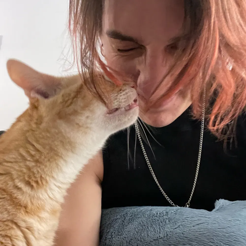 ky.fyi's profile picture