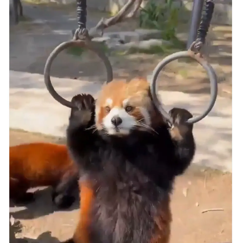 jayjaysaysso.bsky.social's profile picture