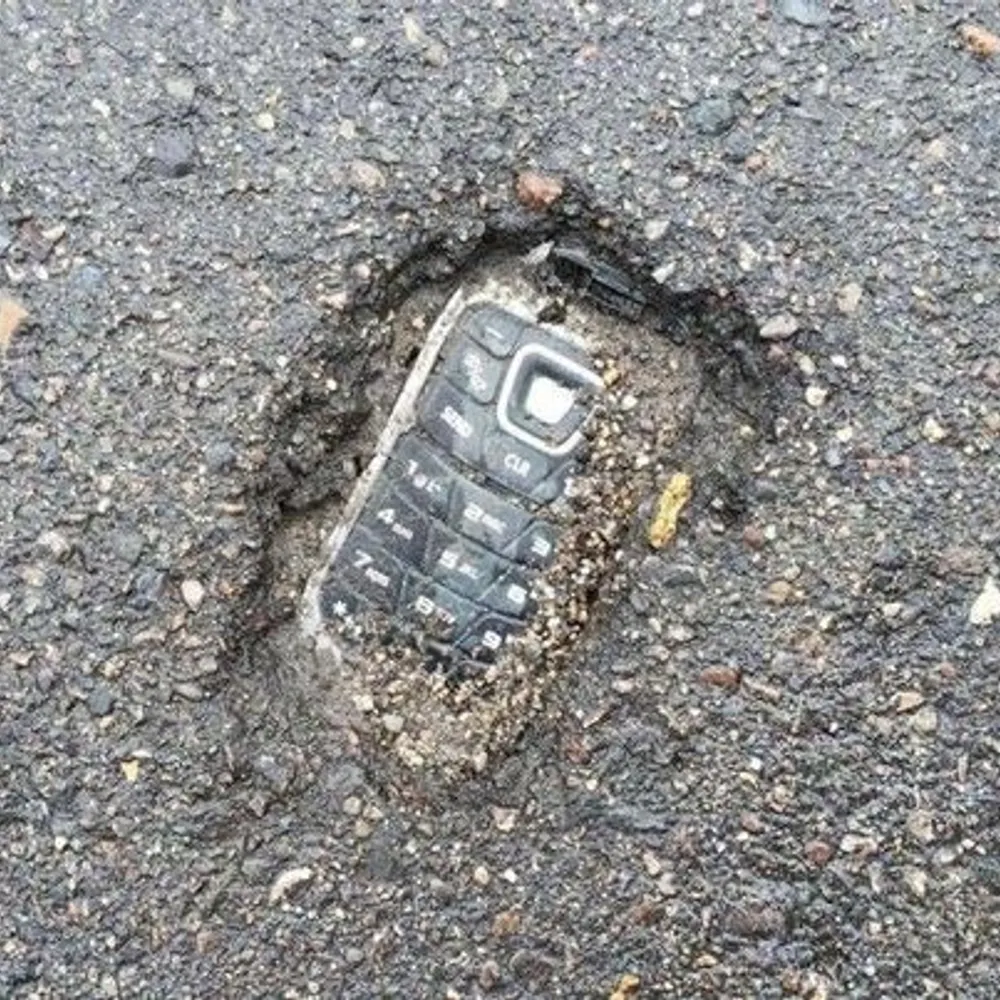 feralrobots.bsky.social's profile picture