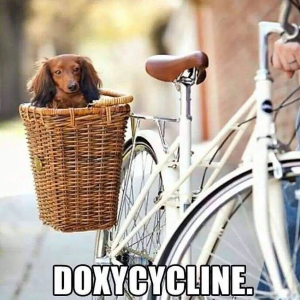 doxy-cycling.bsky.social's profile picture