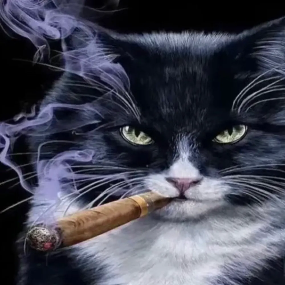 dungeonbgm.bsky.social's profile picture