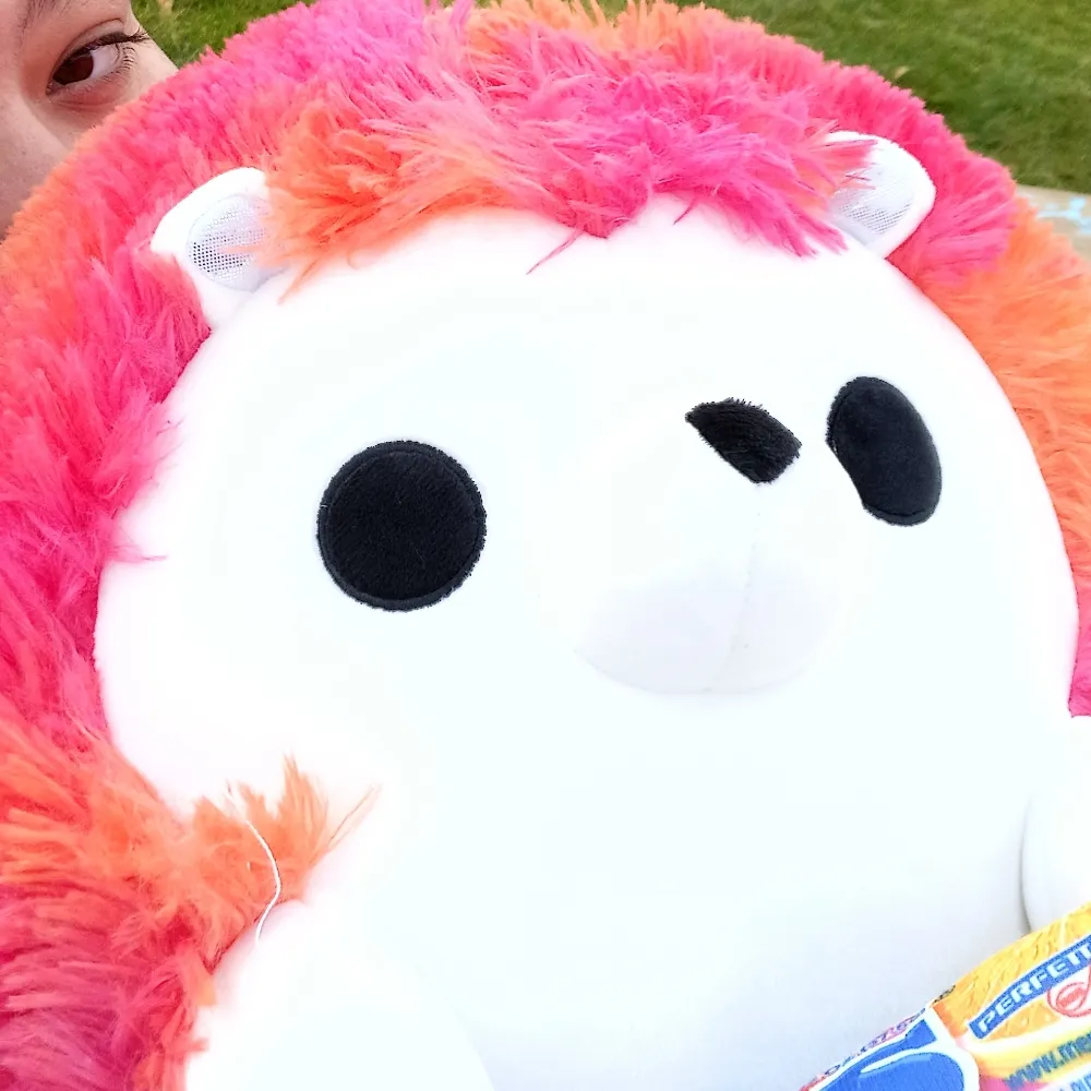 hedgiebby26.bsky.social's profile picture