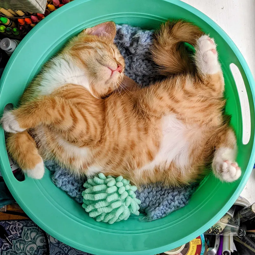 wilderanne.bsky.social's profile picture