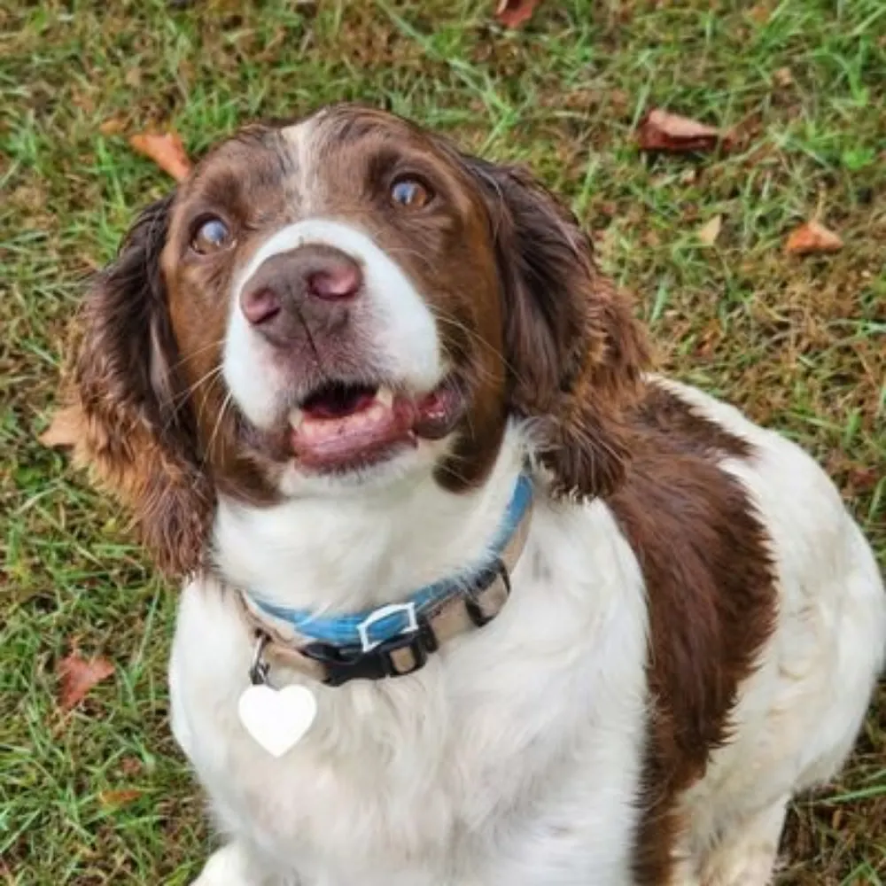 sanner86.bsky.social's profile picture