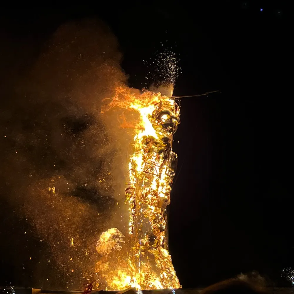 sltfm.bsky.social's profile picture