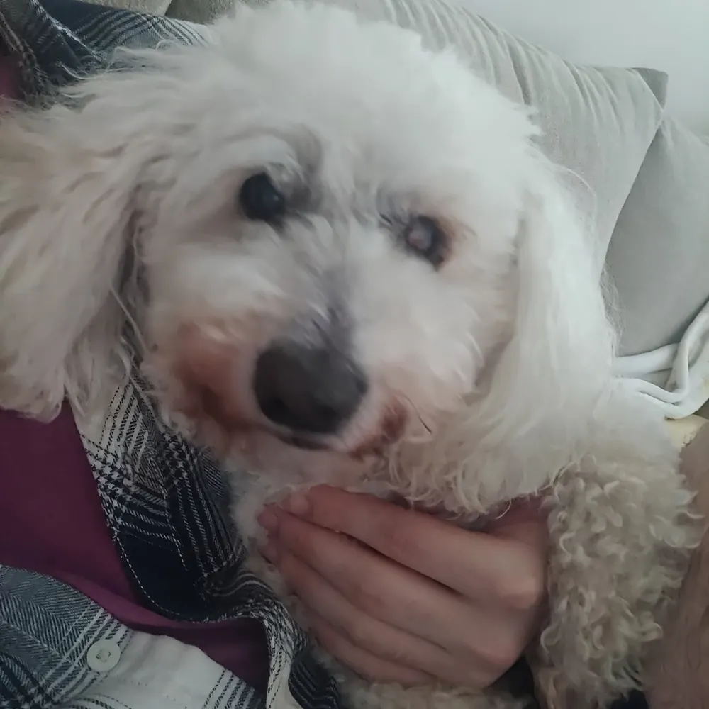 zoeyquartz.bsky.social's profile picture