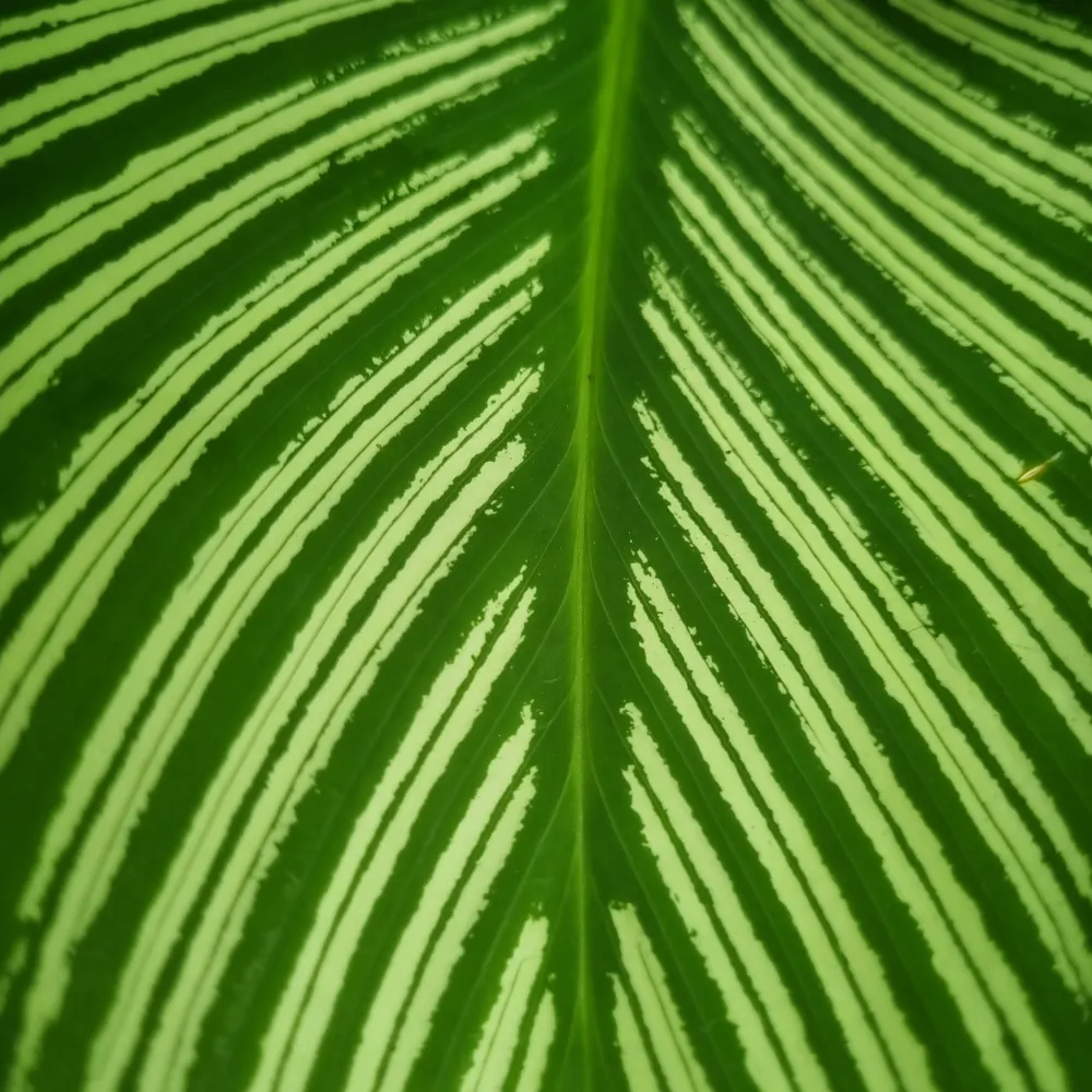 suecartwright.bsky.social's profile picture