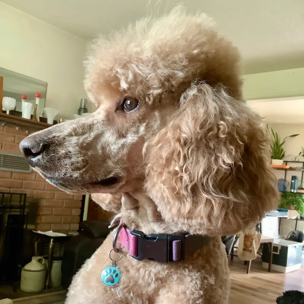 hellsworth406.bsky.social's profile picture