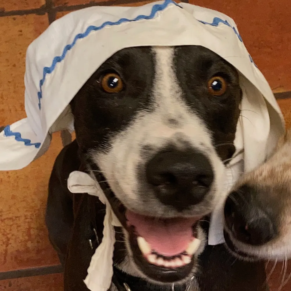 athornton.bsky.social's profile picture