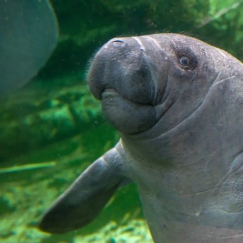 insipidtwaddle.bsky.social's profile picture