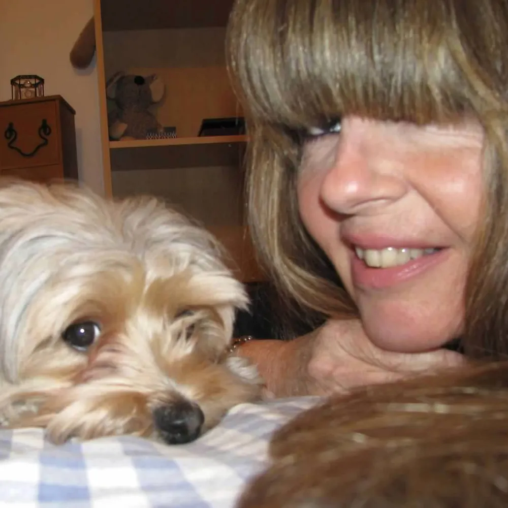 patricebrost.bsky.social's profile picture