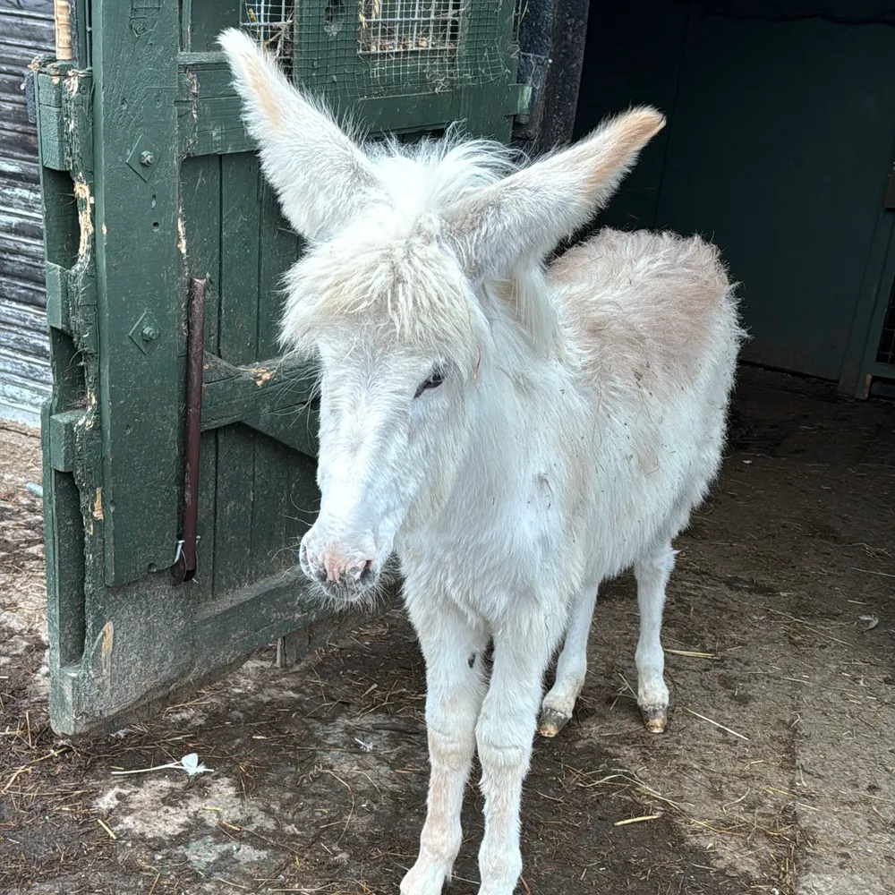 caenhillcc.bsky.social's profile picture