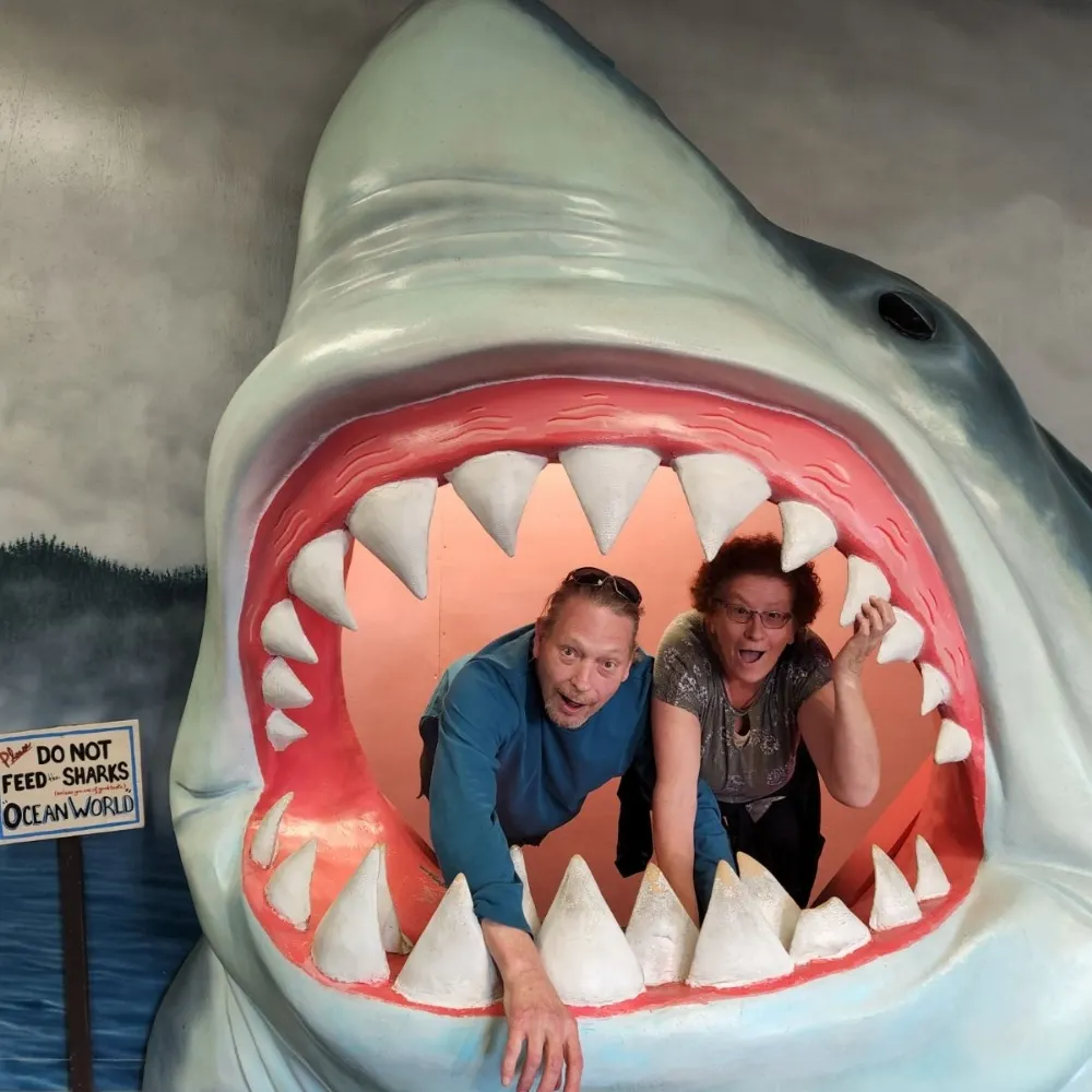 dylansdogpark.bsky.social's profile picture