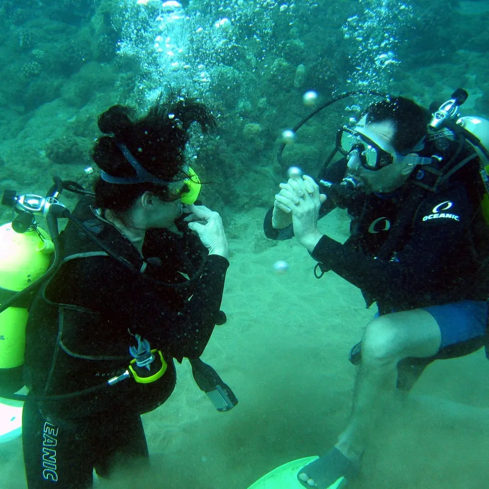 kenshain.bsky.social's profile picture