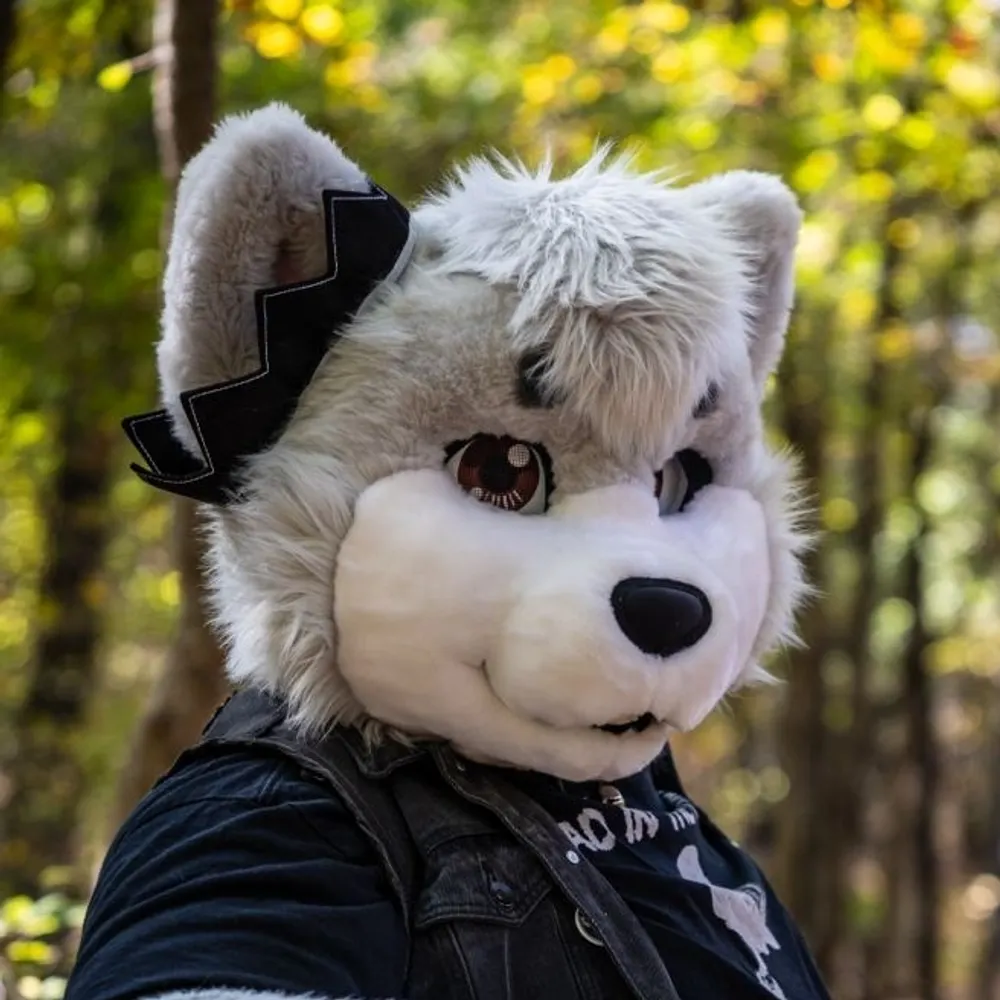 decoywolff.bsky.social's profile picture