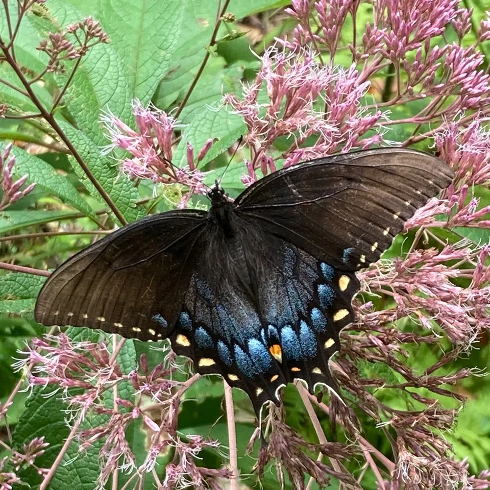 mupx2.bsky.social's profile picture