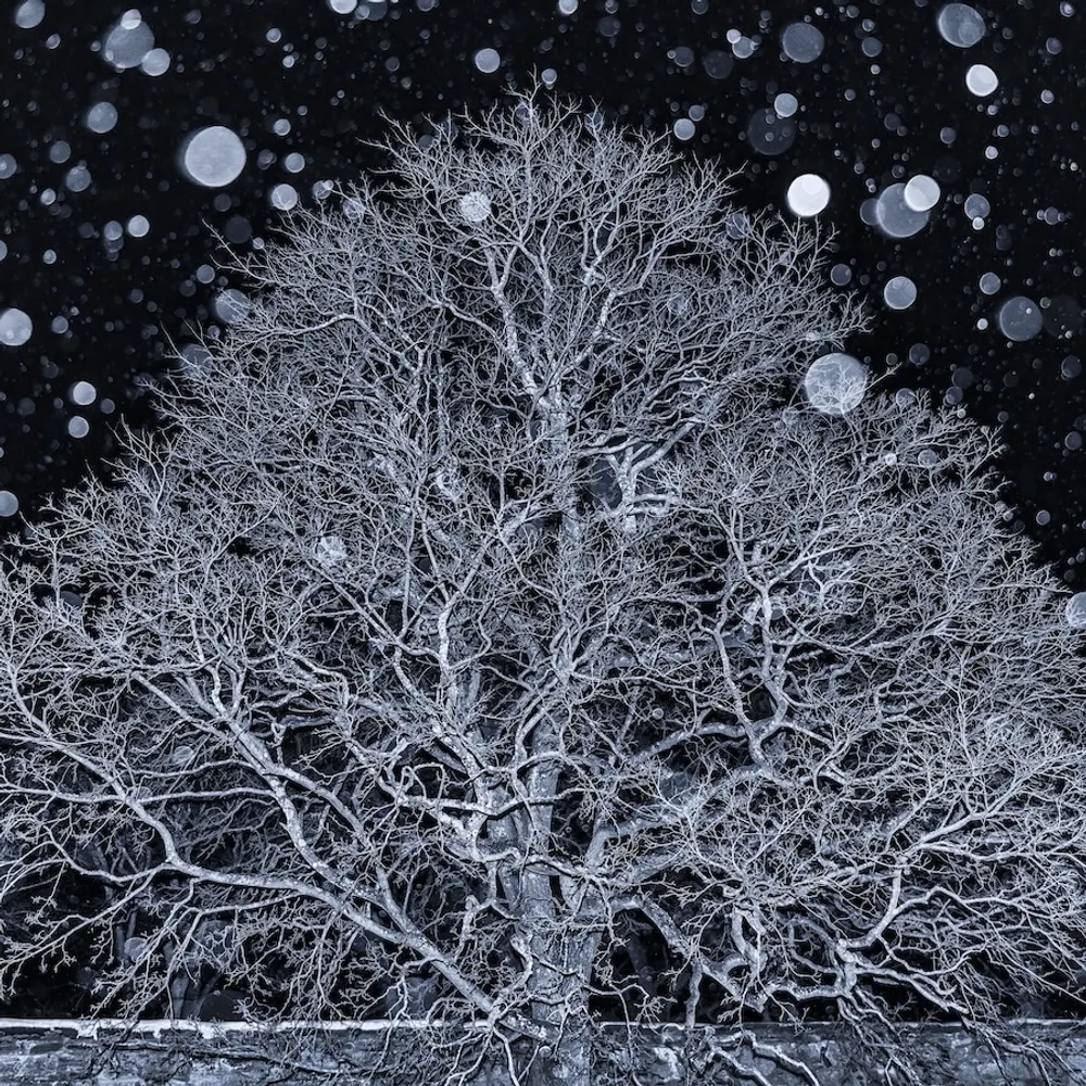 mxrzkp.bsky.social's profile picture