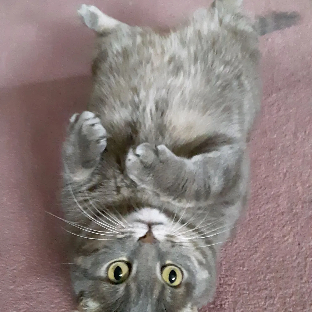 aaron-g-johnson.bsky.social's profile picture