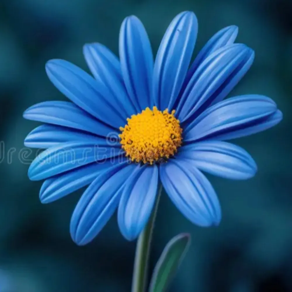 daisyblue6.bsky.social's profile picture