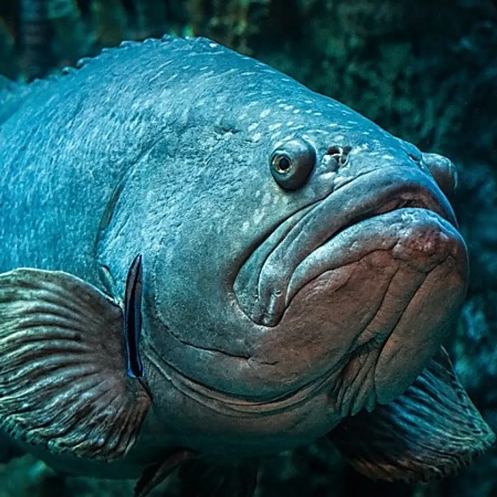 lme11.bsky.social's profile picture