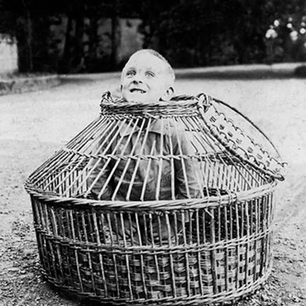 basquiatball.bsky.social's profile picture