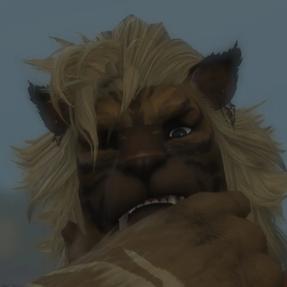 risingstarlight.bsky.social's profile picture