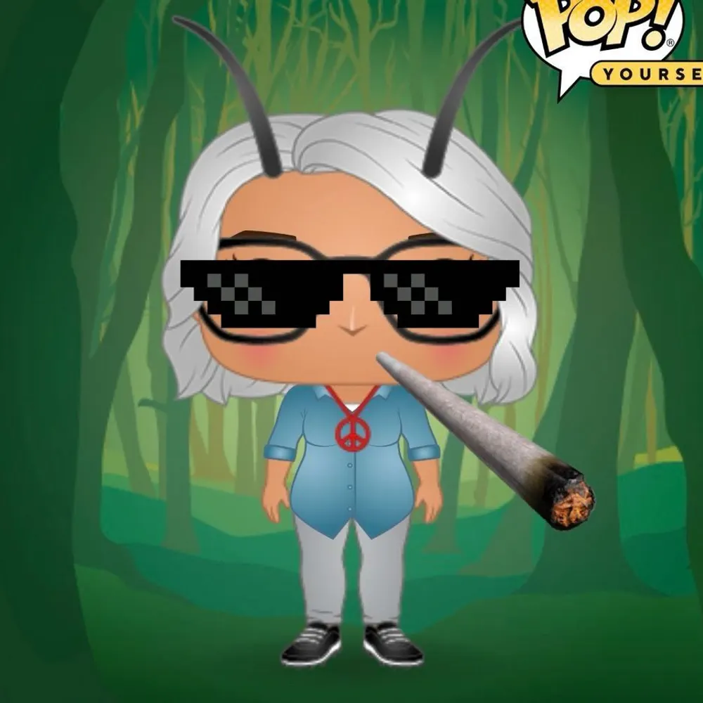 texmexelsa.bsky.social's profile picture