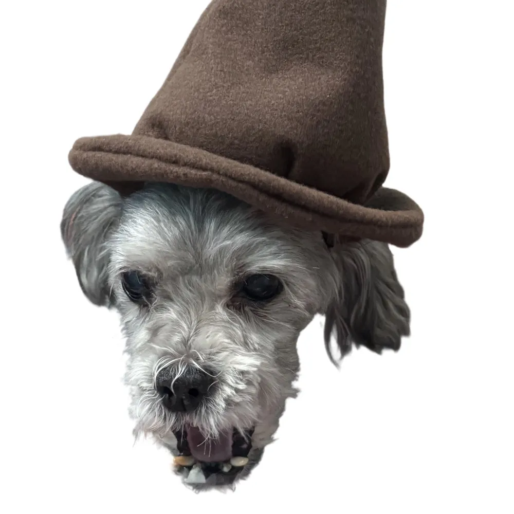 clydapusgotwald.bsky.social's profile picture