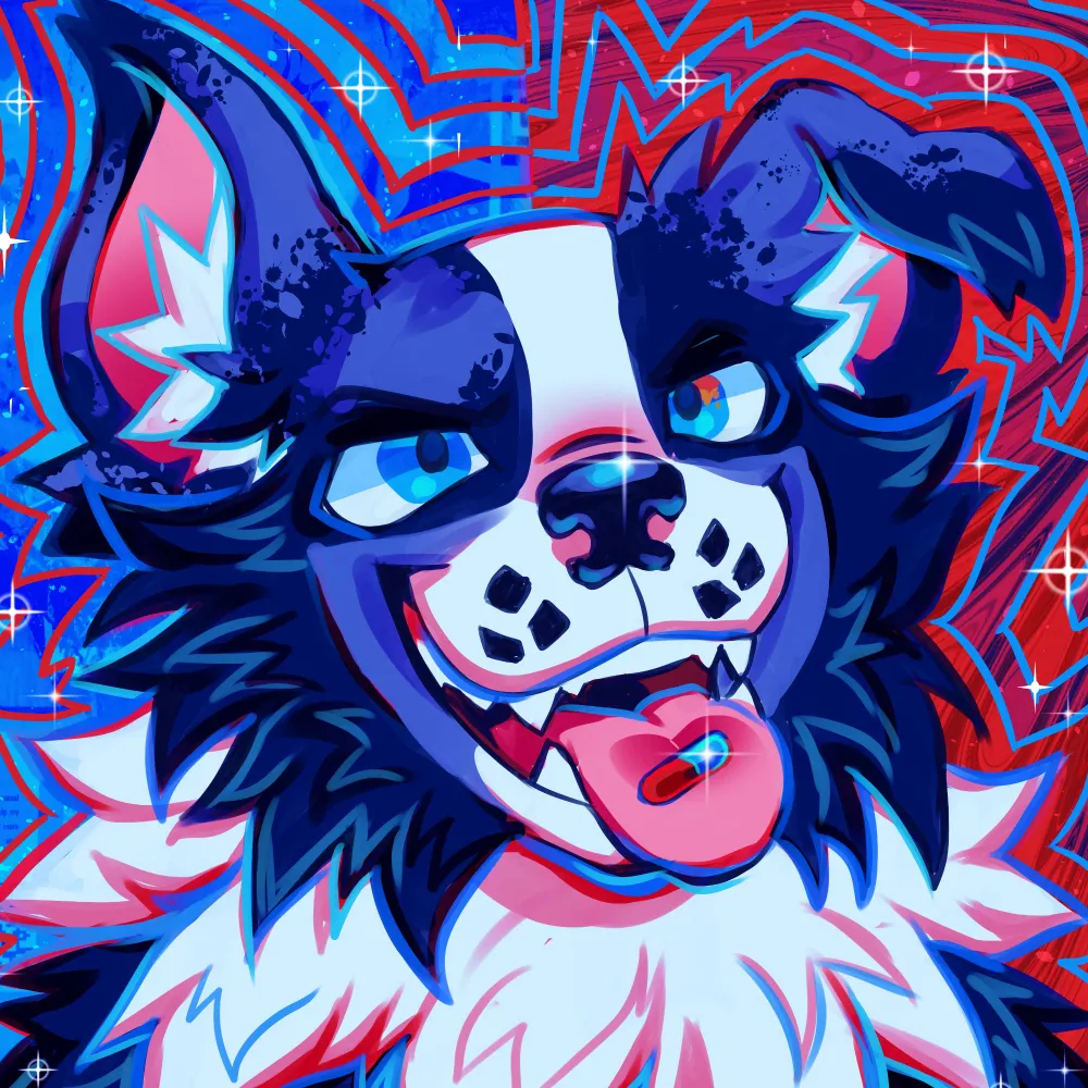 tripecollie.bsky.social's profile picture