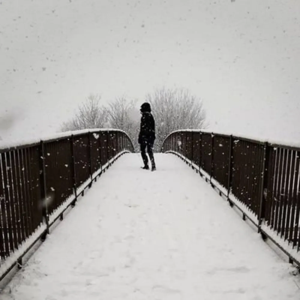 danherb10.bsky.social's profile picture