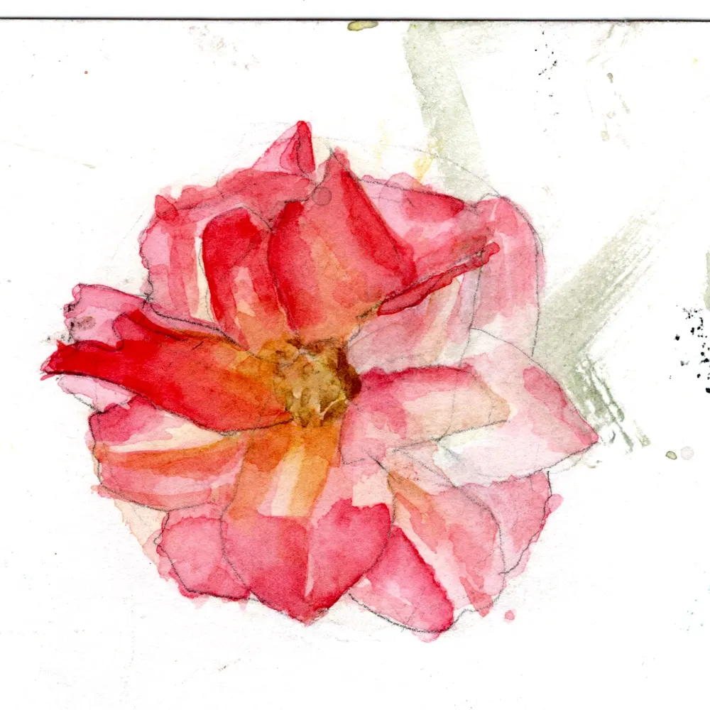 vickilou.bsky.social's profile picture