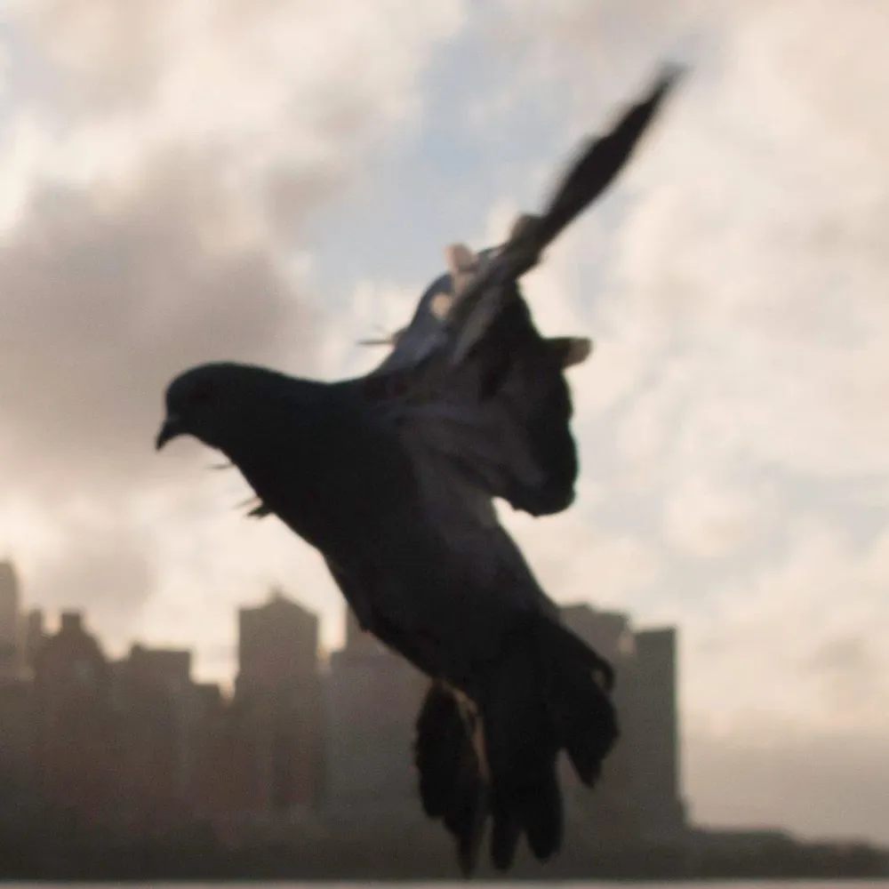 missdarla.bsky.social's profile picture