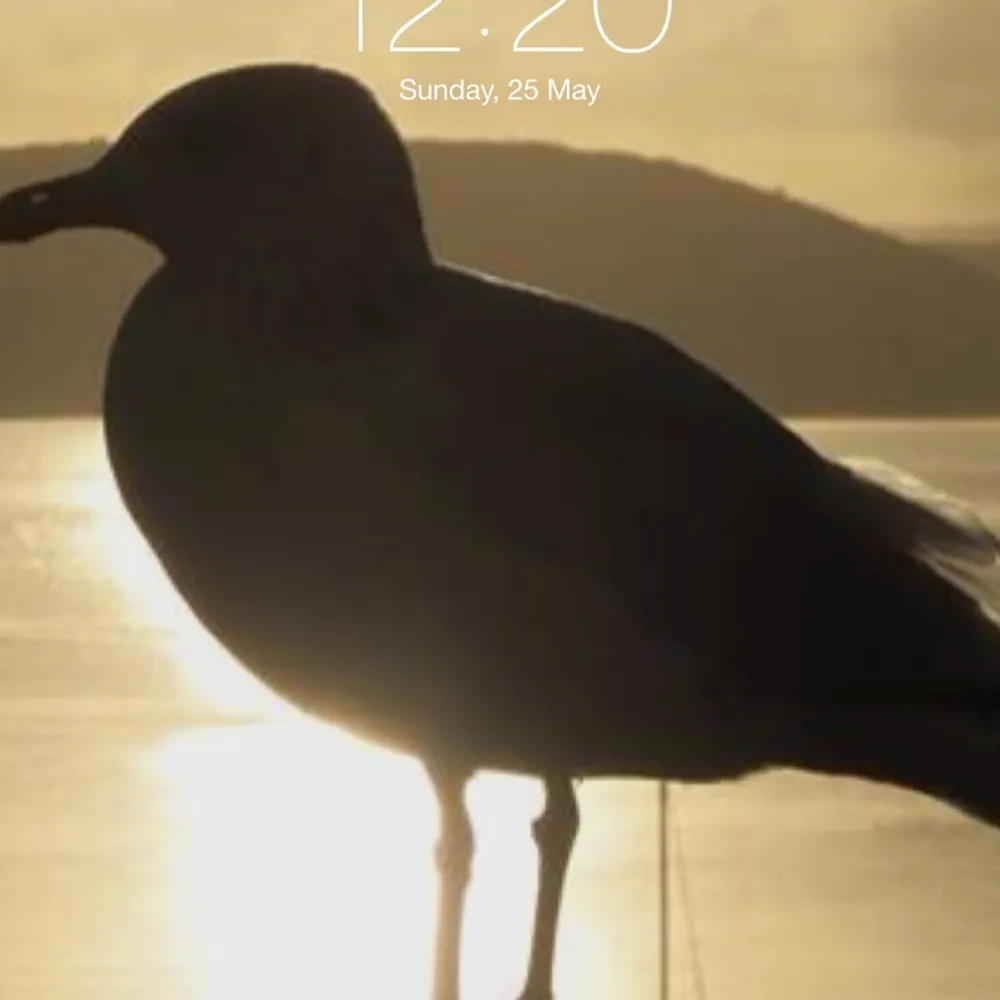 peggysanders.bsky.social's profile picture