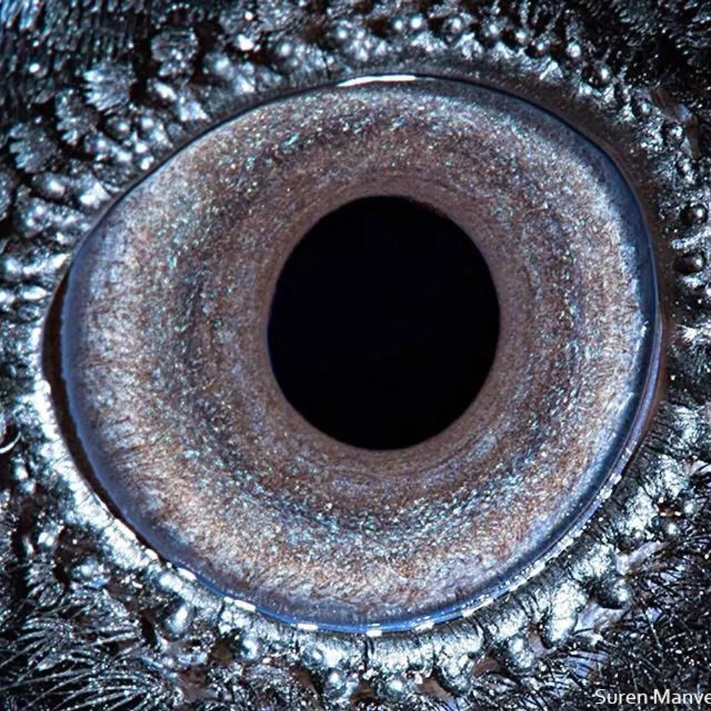 9ericcarlson.bsky.social's profile picture