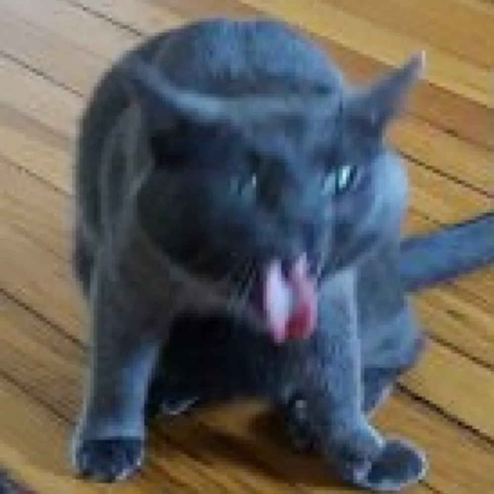 smallgraygames.bsky.social's profile picture