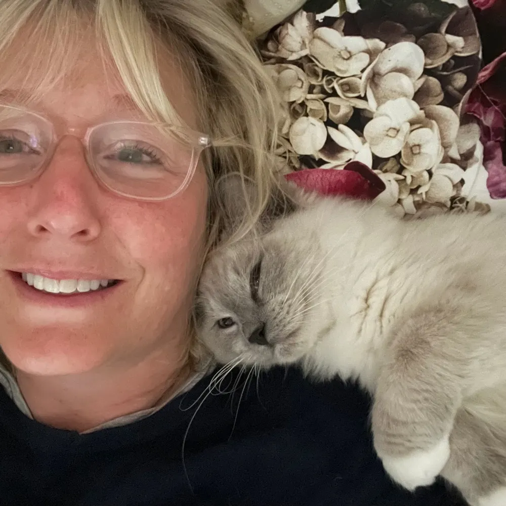 katherinecrosby.bsky.social's profile picture