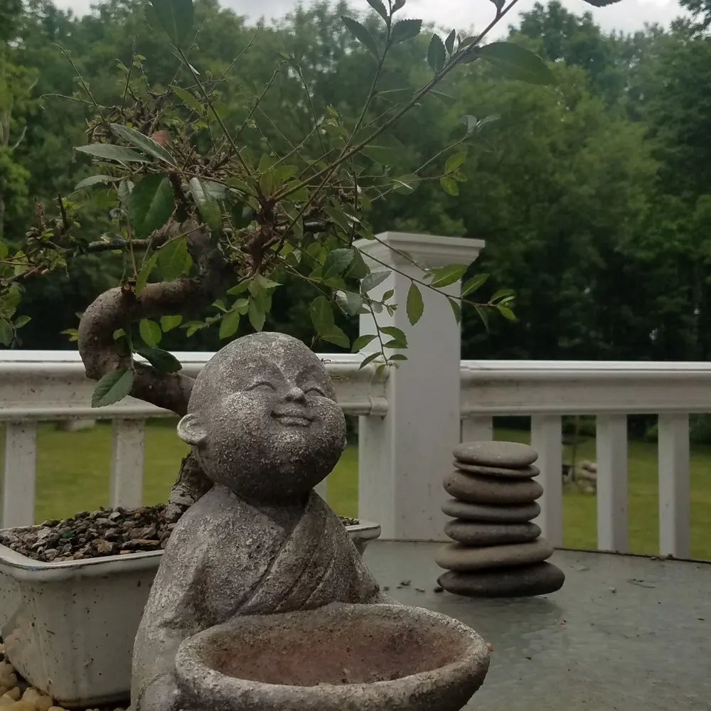 guinness31.bsky.social's profile picture