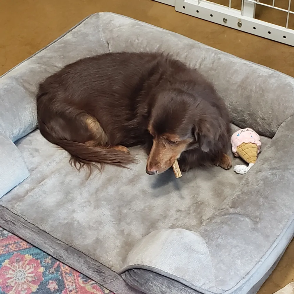 spindoc627.bsky.social's profile picture