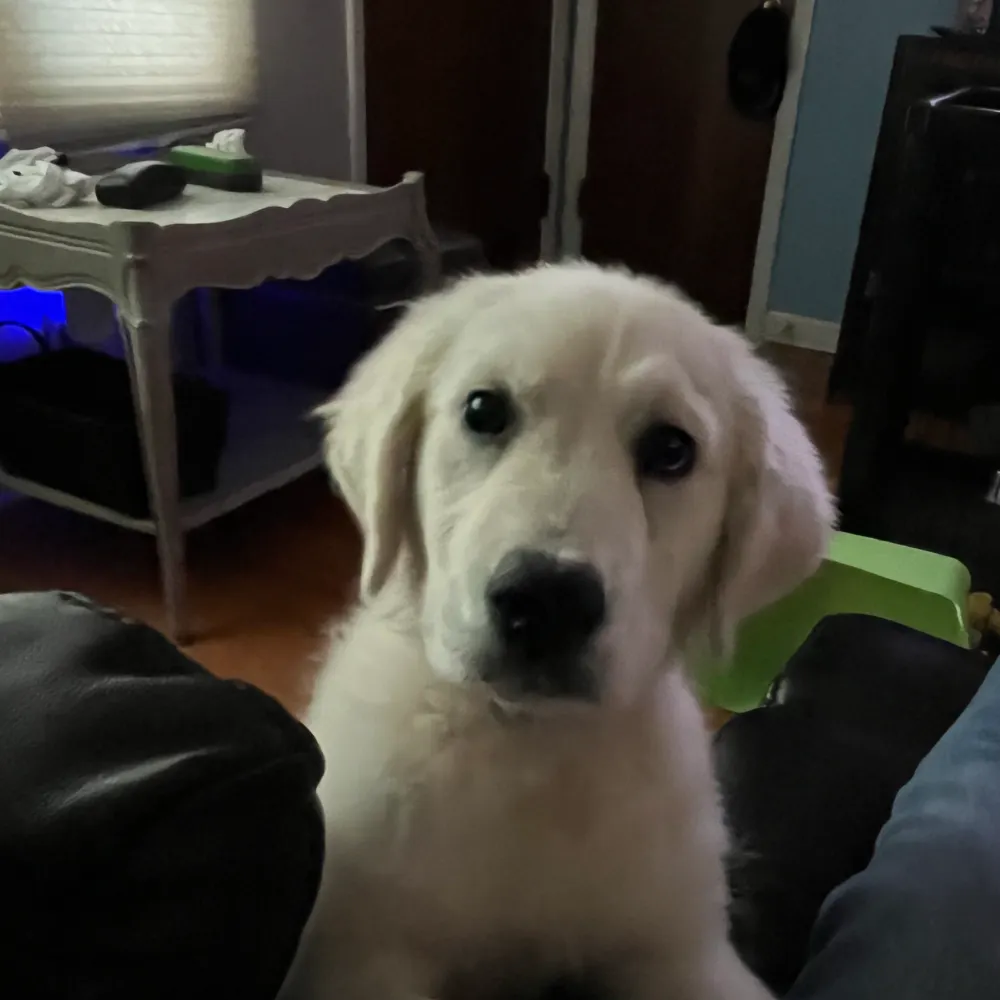 ghty1.bsky.social's profile picture